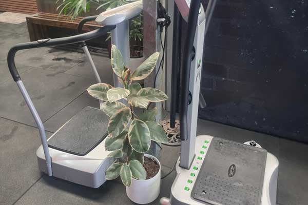 Whole-body vibration platform used to stimulate circulation, muscle activation, and recovery through controlled vibration.